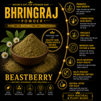 Beastberry Premium Bhringraj Powder | 100% Pure Herbal Powder| Natural Hair & Scalp Care (100 g)